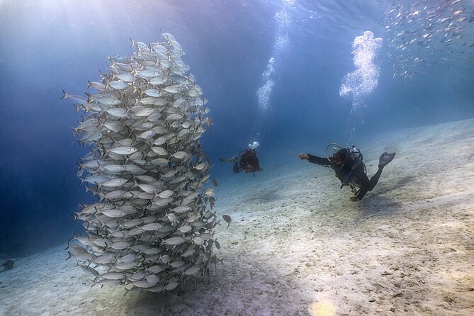 (2 Dives) Discover Scuba Diving Kota Kinabalu - Booking, weather, and cancellation details