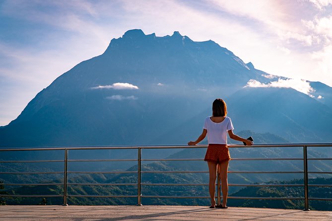 2d1n Kinabalu Park & Poring Canopy Walk & Desa Cow Farm Tour - From Kota Kinabalu to Tamparuli’s countryside