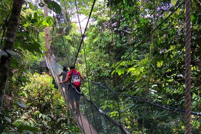 2d1n Kinabalu Park & Poring Canopy Walk & Desa Cow Farm Tour - Desa Dairy Farm on the second morning