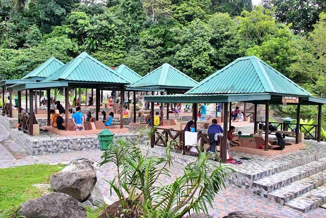 2d1n Kinabalu Park & Poring Canopy Walk & Desa Cow Farm Tour - What the guide and vehicle arrangement mean