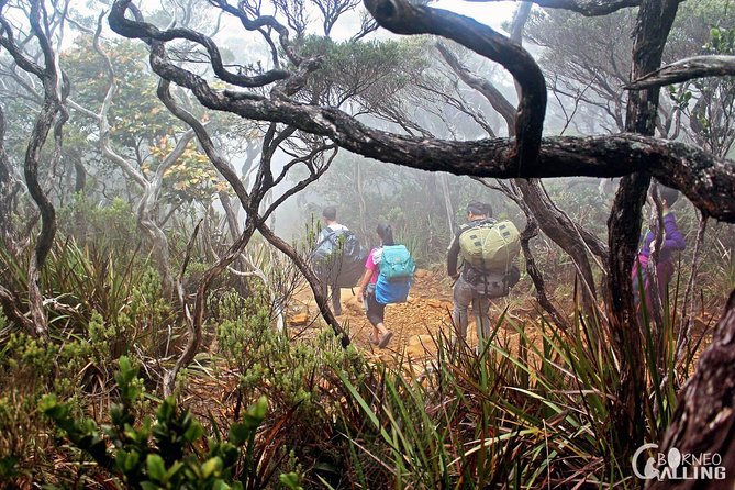 2d1n Mount Kinabalu Via Ferrata - Walk The Torq - Why the via ferrata changes the Mount Kinabalu climb