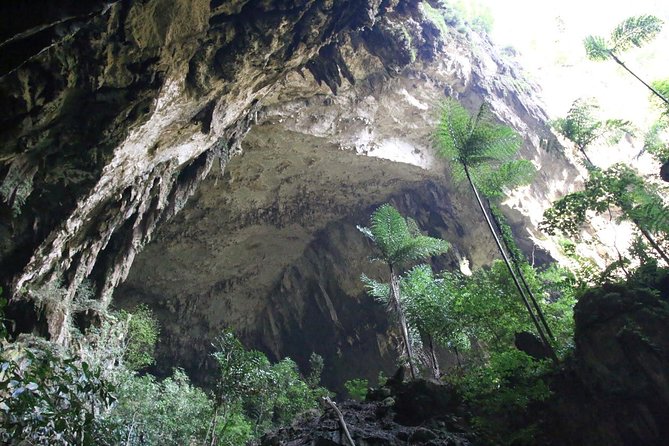 3 Days 2 Nights Unesco World Heritage Mulu 4 Showcaves - The practical reality of transport and timing