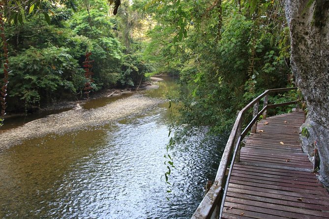 3 Days 2 Nights Unesco World Heritage Mulu 4 Showcaves - Day 1: From Mulu Airport to Lang’s and Deer caves