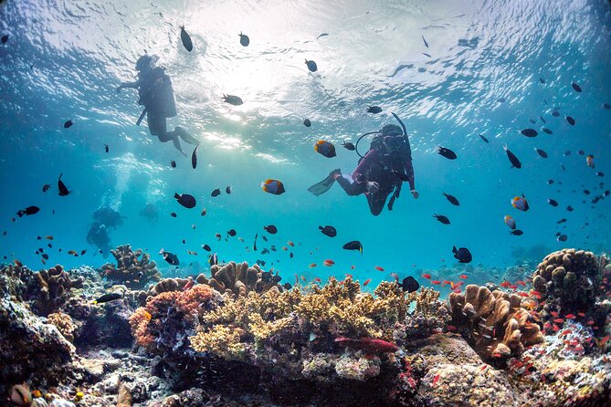 (3 Days) PADI Open Water Diver Course Kota Kinabalu - How the $437.93 price works as a value
