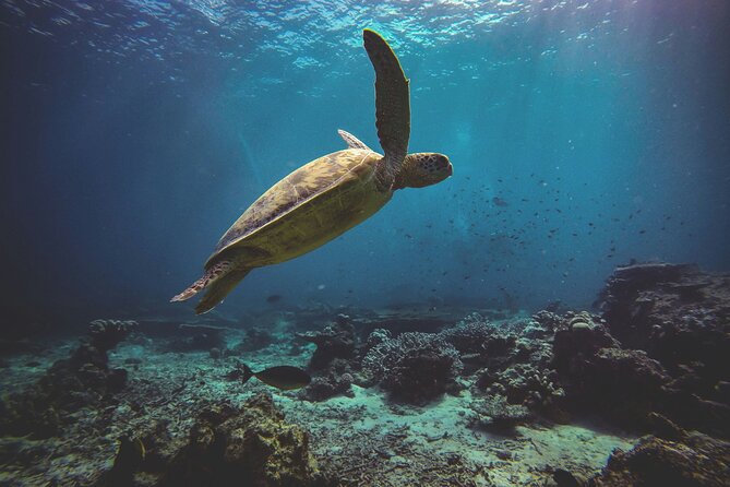 3 Semporna Islands Tour with Snorkel or Diving Experience - Weather, current changes, and the Timba-Timba closure