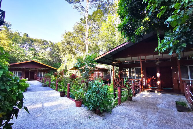3D2N Sukau Wildlife Experience - Why the Kinabatangan River is the reason to go