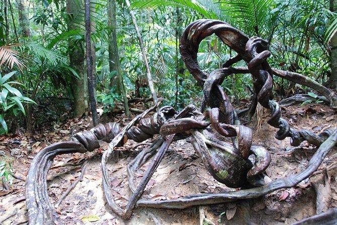 4-Day Jungle Experience in Taman Negara from Kuala Lumpur - The canopy walk needs a phone call before booking