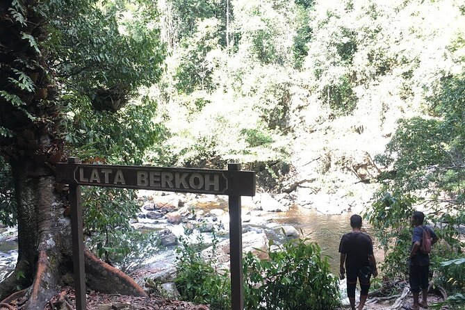 4-Day Jungle Experience in Taman Negara from Kuala Lumpur - What the accommodation and meals add
