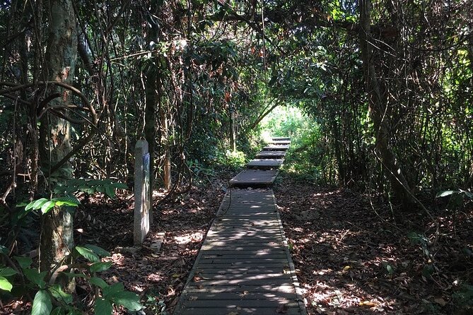 4-Day Jungle Experience in Taman Negara from Kuala Lumpur - Day 1: From Kuala Lumpur to a night in the forest
