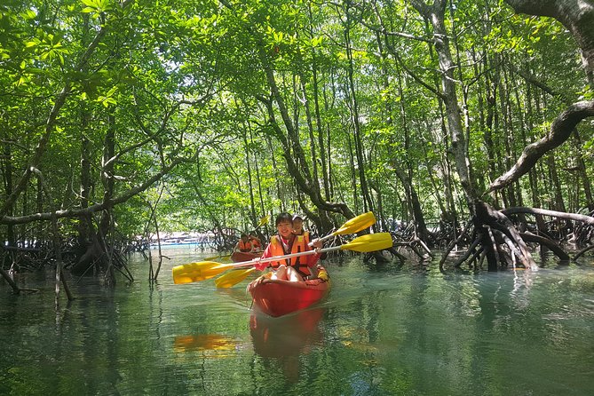5 Hours Kilim Mangrove Kayaking Sharing Tour (With Hotel Pickup) - Why kayaking changes the Kilim experience