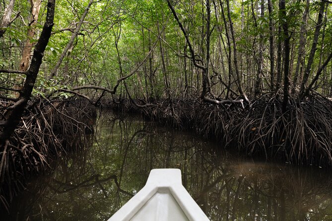 5 Hours Mangrove Boat Tour in Langkawi - Forty-five minutes through the mangrove river