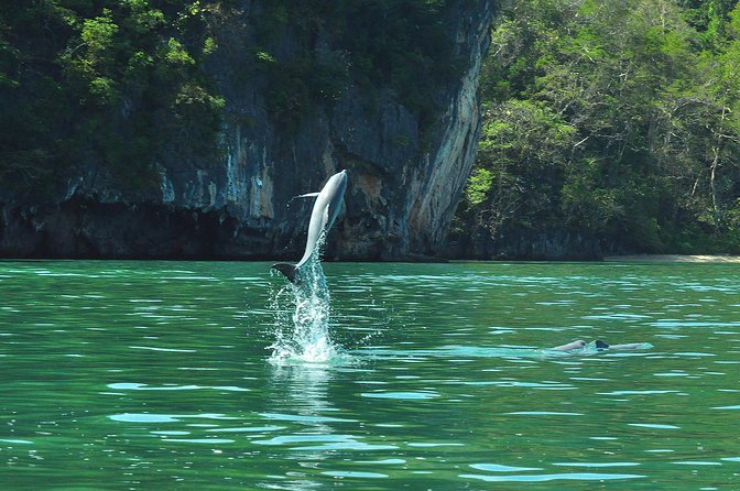 5 Hours Sharing Basis Kilim Mangrove Safari Boat Tour in Langkawi - Lunch at the floating restaurant