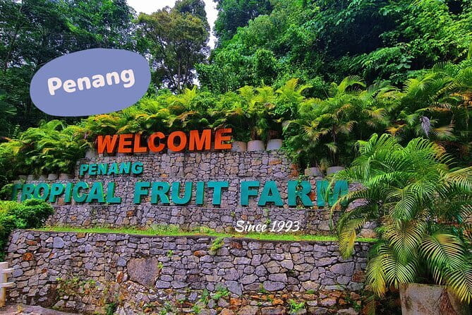 6 Hours Enchanting Exploration in Penang - George Town street art in a short walking visit