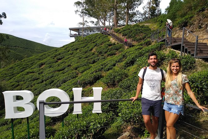 Amazing Cameron Highland Day Tour From Kuala Lumpur - Cameron Lavender: colorful, commercial, and weather dependent