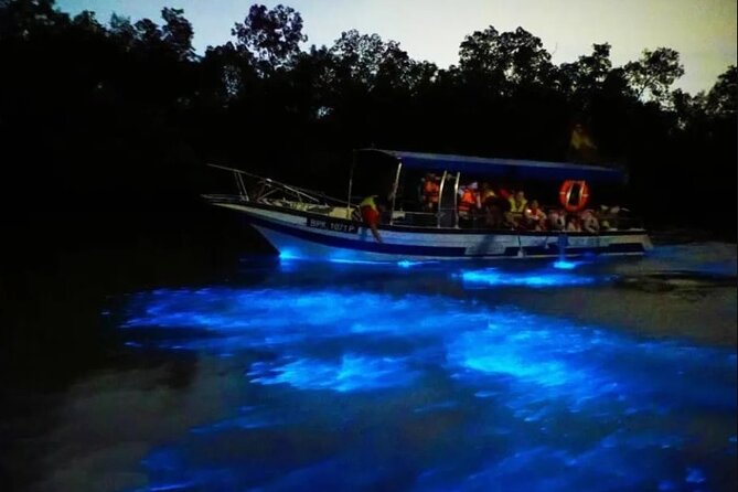 Amazing Fireflies With Blue Tears Watching & Kuala Selangor Tour - Why this evening trip is different from a standard city tour