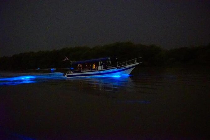 Amazing Fireflies With Blue Tears Watching & Kuala Selangor Tour - Dinner by the river is useful, but bring your own budget