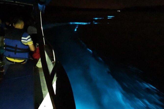 Amazing Fireflies With Blue Tears Watching & Kuala Selangor Tour - What the $55.92 price really covers