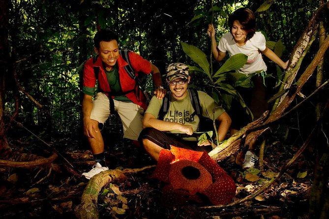 Amazing Taman Negara Day Trip from Kuala Lumpur Including Lunch - Key points to know before booking