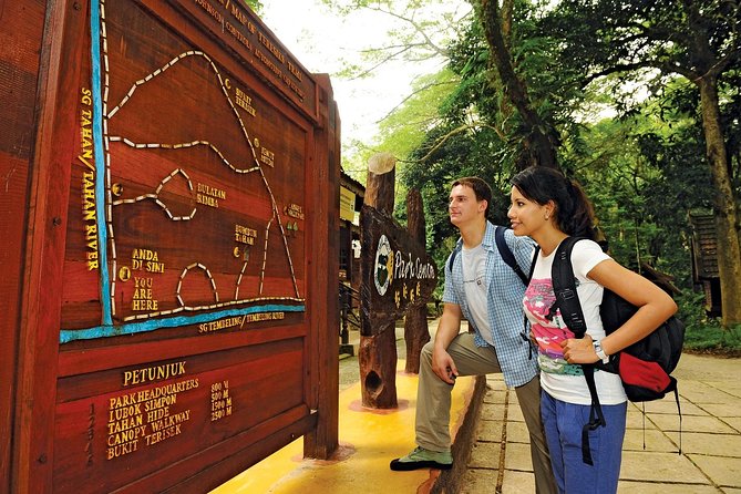 Amazing Taman Negara Day Trip from Kuala Lumpur Including Lunch - The 530-meter canopy walkway