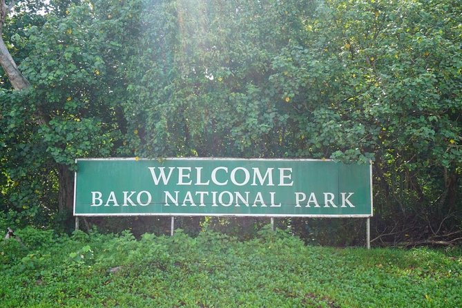 Bako National Park - Wildlife at Bako, with realistic expectations