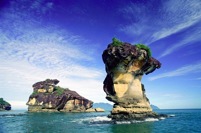 Bako National Park from Kuching City - Wildlife sightings: what you might actually see