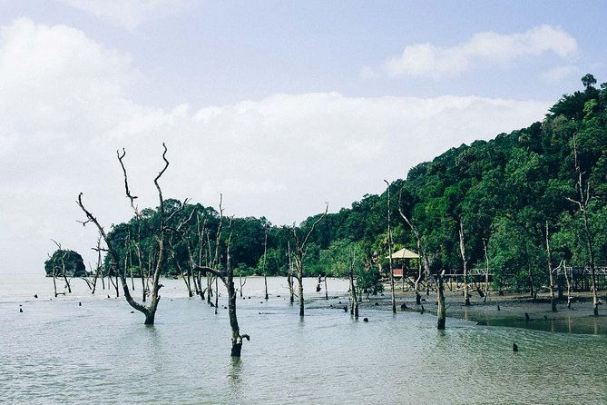 Bako National Park from Kuching City - From the fishing village to Bako by boat