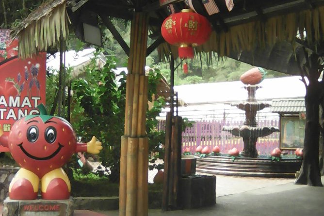 Batu Caves and Genting Highland Tour - Why this private day trip works well from Kuala Lumpur