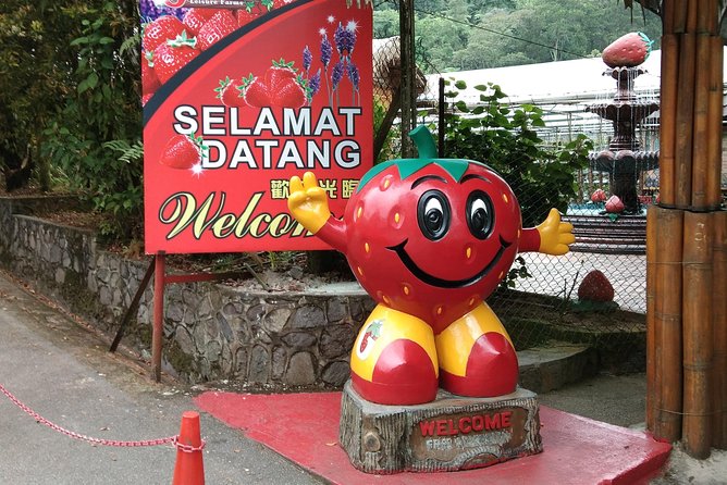 Batu Caves and Genting Highland Tour - What four hours at Genting Highlands really means