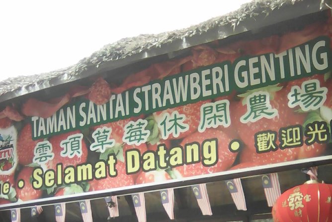 Batu Caves and Genting Highland Tour - Timing, fitness, and weather concerns