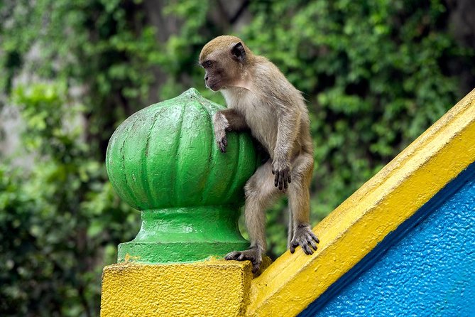 Batu Caves and Watching Fireflies in Kuala Selangor - Batu Caves: limestone, worship, and monkeys