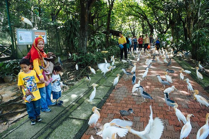 Bird Park & Butterfly Farm Nature Include All Entrance Tour From Kuala Lumpur - What the private format really adds