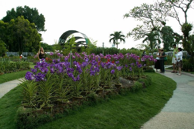 Bird Park & Butterfly Farm Nature Include All Entrance Tour From Kuala Lumpur - Kuala Lumpur Bird Park: birds that share your path