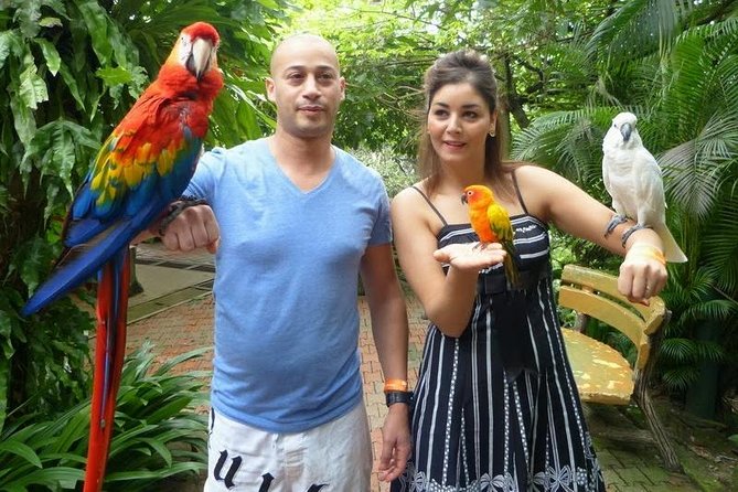 Bird Park & Butterfly Farm Nature Tour From Kuala Lumpur - What the $34 price really includes