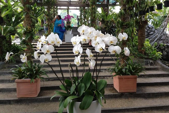 Bird Park & Butterfly Farm Nature Tour From Kuala Lumpur - Who will get the most from this outing