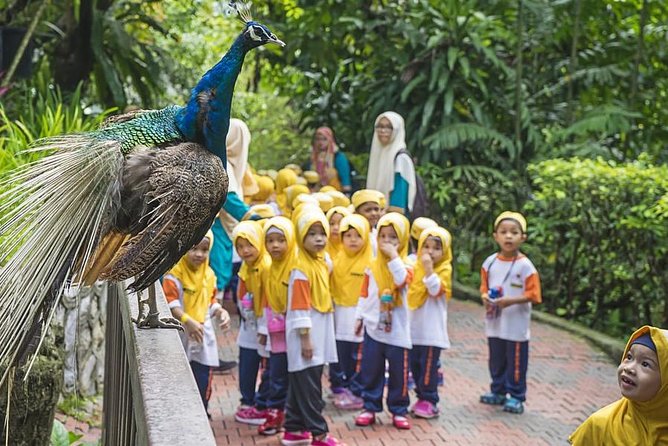 Bird Park & Butterfly Farm Nature Tour From Kuala Lumpur - Kuala Lumpur Butterfly Park: 80,000 square feet of planted color