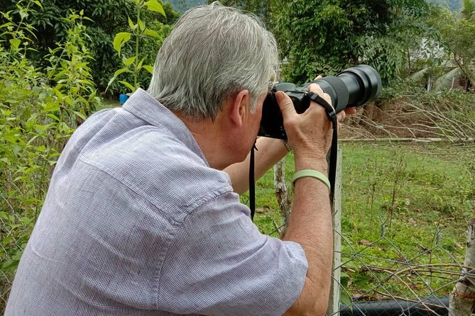 Birdwatching: Desaru's Winged Gems - Key points before you book