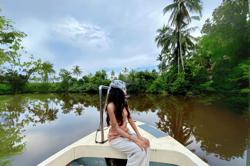 Bongawan River Cruise: Proboscis Monkey & Fireflies Mangrove - Searching for proboscis monkeys on the river
