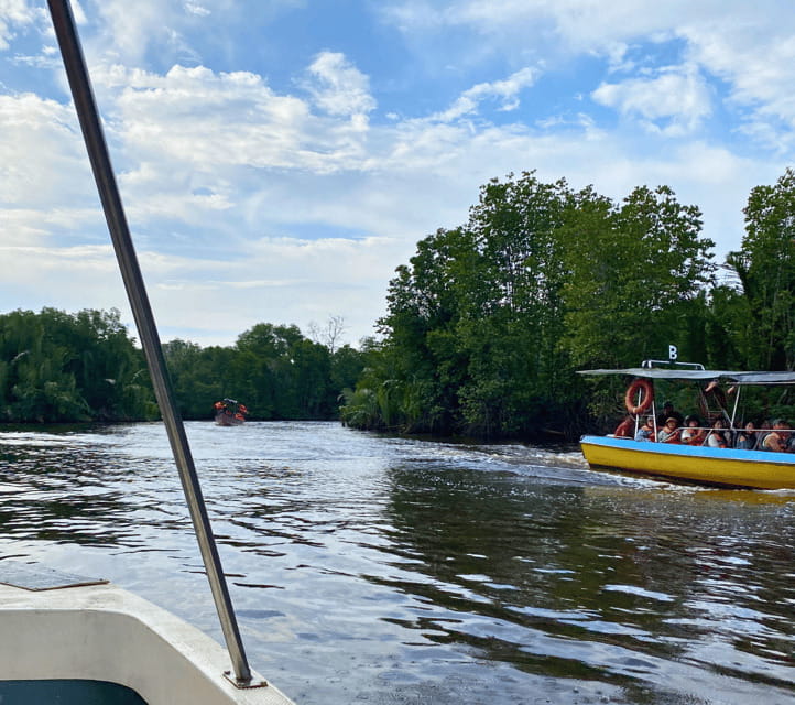 Bongawan River Cruise: Proboscis Monkey & Fireflies Mangrove - Guides who shape the day