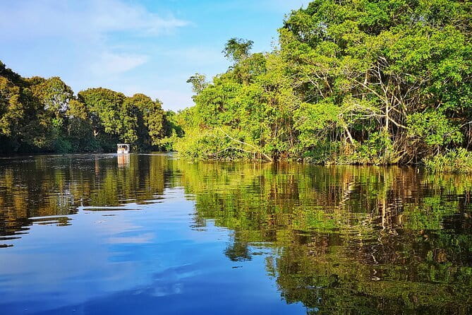 Bongawan River Cruise Proboscis Monkey, SkyMirror, Fireflies - What happens on the Bongawan River
