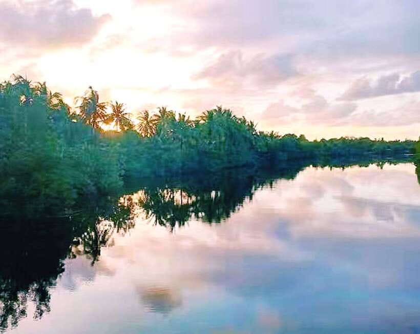 Bongawan Wetland: Proboscis Monkey and Fireflies Shared Tour - Key points to know before booking