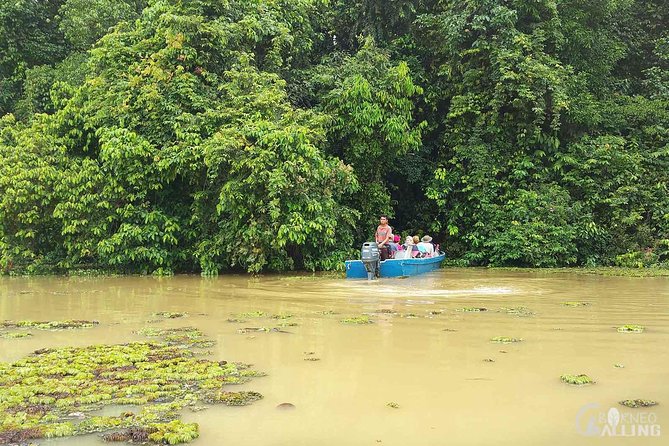 Borneo Kinabatangan River Cruise Day Trip - Is $90 good value?