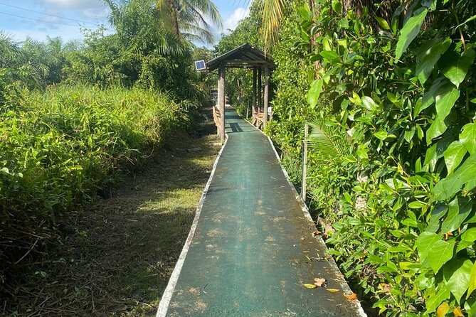 Borneo (Klias) River Cruise & Fireflies Tour - Who will enjoy this day most