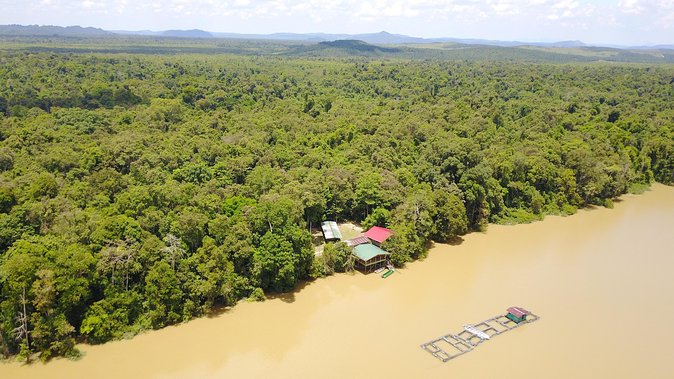 Borneo Wildlife Tour 3 Days 2 Nights At Tanjung Bulat Jungle Camp Kinabatangan - Day three: a short morning and an early departure