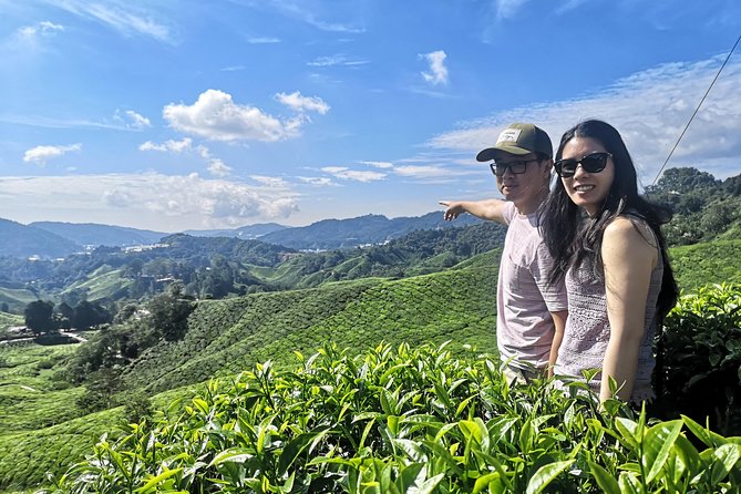 Cameron Highland Best Day Tour from Ipoh with Lunch ( Day Trip) - Why this is a serious day trip from Ipoh