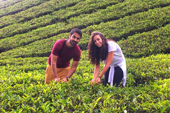 Cameron Highland Best Day Tour from Ipoh with Lunch ( Day Trip) - Lunch, snacks, and the local side of the day
