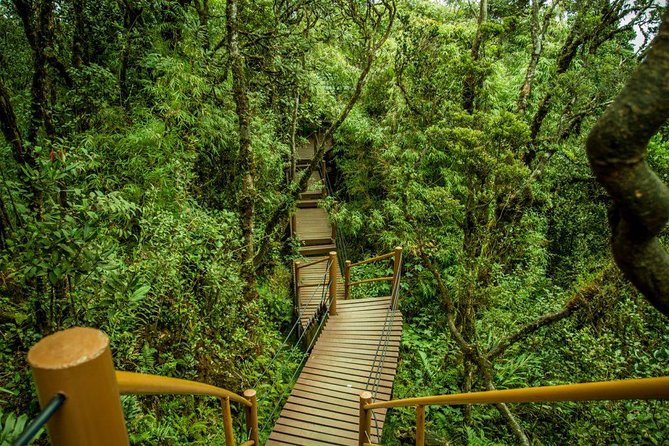 Cameron Highland Day Tour from Kuala Lumpur - Lunch and the private guide