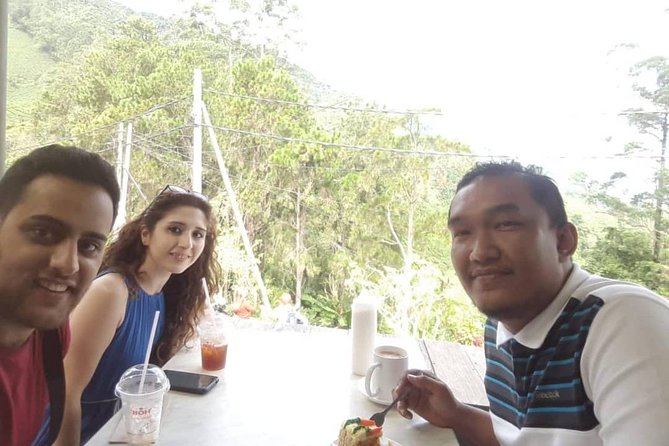 Cameron Highland Day Tour From Kuala Lumpur With Lunch Local food - Two different views of tea at Sungai Palas