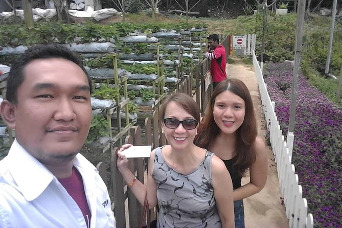 Cameron Highland Day Tour From Kuala Lumpur With Lunch Local food - Stretching your legs at Lata Iskandar
