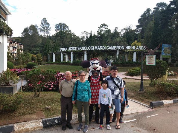 Cameron Highland Day Trip - What the private format really adds
