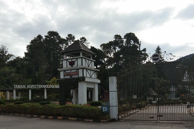 Cameron Highland Day Trip - Is $108 a fair price?
